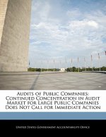 Audits of Public Companies: Continued Concentration in Audit Market for Large Public Companies Does Not Call for Immediate Action