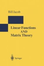 Linear Functions and Matrix Theory, 1