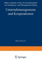 Unternehmensgrenzen Und Kooperationen