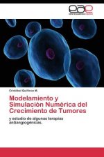 Modelamiento y Simulacion Numerica del Crecimiento de Tumores