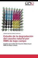 Estudio de la degradacion del caucho natural por RMN de bajo campo