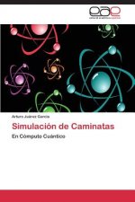 Simulacion de Caminatas