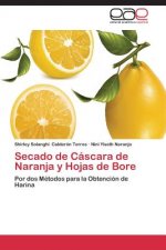 Secado de Cascara de Naranja y Hojas de Bore