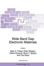 Wide Band Gap Electronic Materials, 1