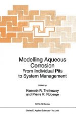 Modelling Aqueous Corrosion, 1