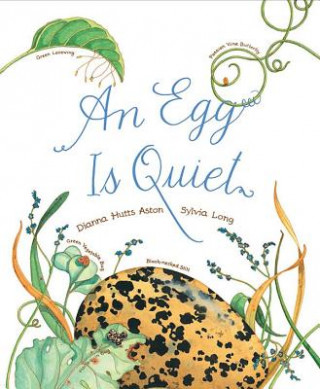 Egg Is Quiet