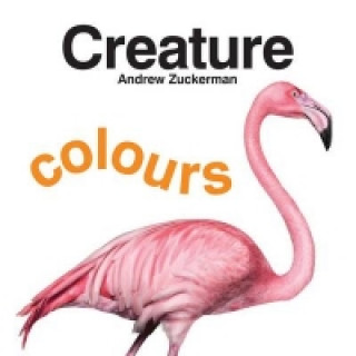 Creature Colours