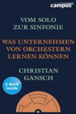 Vom Solo zur Sinfonie, m. 1 Buch, m. 1 E-Book