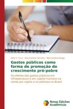 Gastos publicos como forma de promocao do crescimento pro-pobre