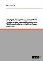 Traumatisierte Flüchtlinge im Spannungsfeld von Asylrecht und Genesungsprozess. Coping-Strategien für Sozialpädagogen in der Flüchtlingssozialarbeit a