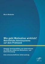 Wie geht Motivation wirklich? - Betriebliche Anreizsysteme auf dem Prufstand