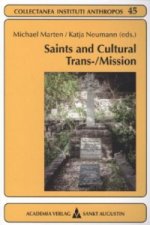 Saints and Cultural Trans-/Mission
