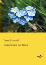 Kunstformen der Natur