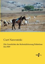 Geschichte der Kolonialisierung Palastinas bis 1919