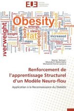 Renforcement de L Apprentissage Structurel D Un Mod le Neuro-Flou