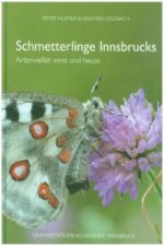 Schmetterlinge Innsbrucks. Artenvielfalt einst und heute