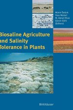 Biosaline Agriculture and Salinity Tolerance in Plants