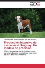 Produccion Intensiva de Carne En El Uruguay