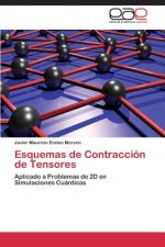 Esquemas de Contraccion de Tensores