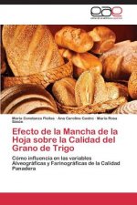 Efecto de la Mancha de la Hoja sobre la Calidad del Grano de Trigo