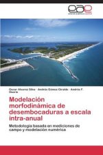 Modelacion morfodinamica de desembocaduras a escala intra-anual
