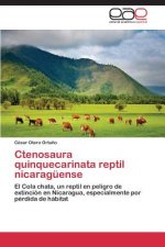 Ctenosaura quinquecarinata reptil nicaraguense