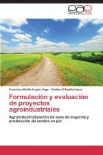Formulacion y evaluacion de proyectos agroindustriales