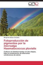 Fotoproduccion de pigmentos por la microalga Haematococcus pluvialis