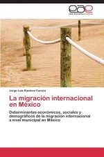 Migracion Internacional En Mexico