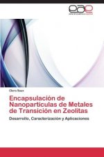 Encapsulacion de Nanoparticulas de Metales de Transicion En Zeolitas