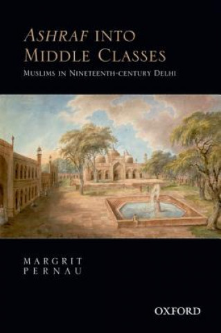 Ashraf into Middle Classes
