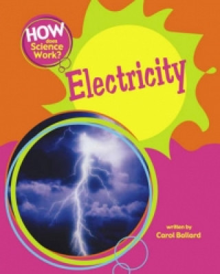 How Does Science Work?: Electricity
