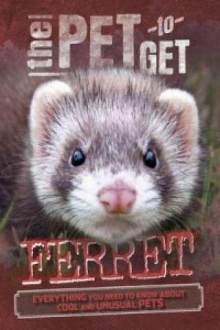 Pet to Get: Ferret