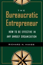 Bureaucratic Entrepreneur