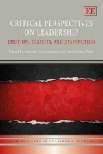 Critical Perspectives on Leadership