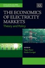 Economics of Electricity Markets