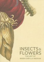Insects and Flowers - The Art of Maria Sibylla Merian