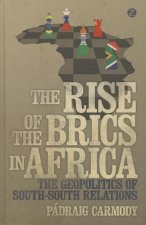 Rise of the BRICS in Africa