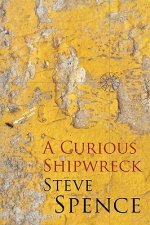 Curious Shipwreck