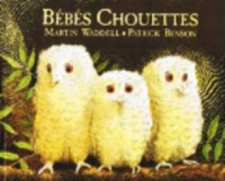 Bebes Chouettes