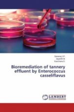 Bioremediation of tannery effluent by Enterococcus casseliflavus