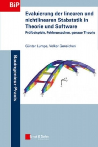 Evaluierung der linearen und nichtlinearen Stabstatik in Theorie und Software - Prufbeispiele , Fehlerursachen, genaue Theorie