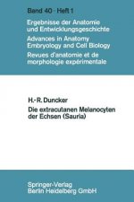 Extracutanen Melanocyten Der Echsen (Sauria)