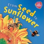Lifecycles: From Seed To Sunflower