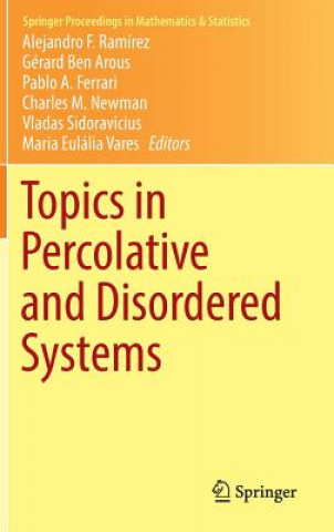Topics in Percolative and Disordered Systems