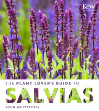 Plant Lover's Guide to Salvias