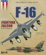 F-16 Volume 2: Fighting Falcon C F
