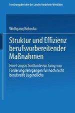 Struktur Und Effizienz Berufsvorbereitender Mabnahmen