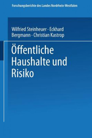 eOffentliche Haushalte Und Risiko