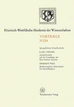 Schnellverkehr Auf Der Grundlage Des Rad-Schiene-Systems. Ber hrungsfreie Fahrtechnik F r Schnellbahnen
